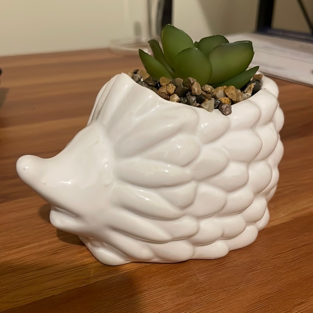 Fake plant hedgehog